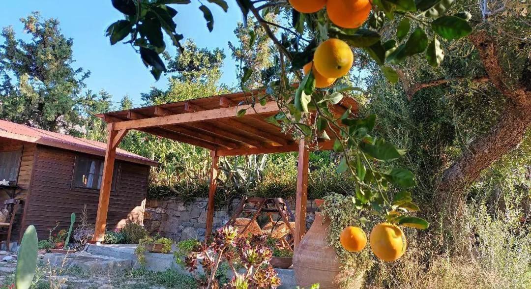 Levantes Garden House - Кератокампос Екстериор снимка