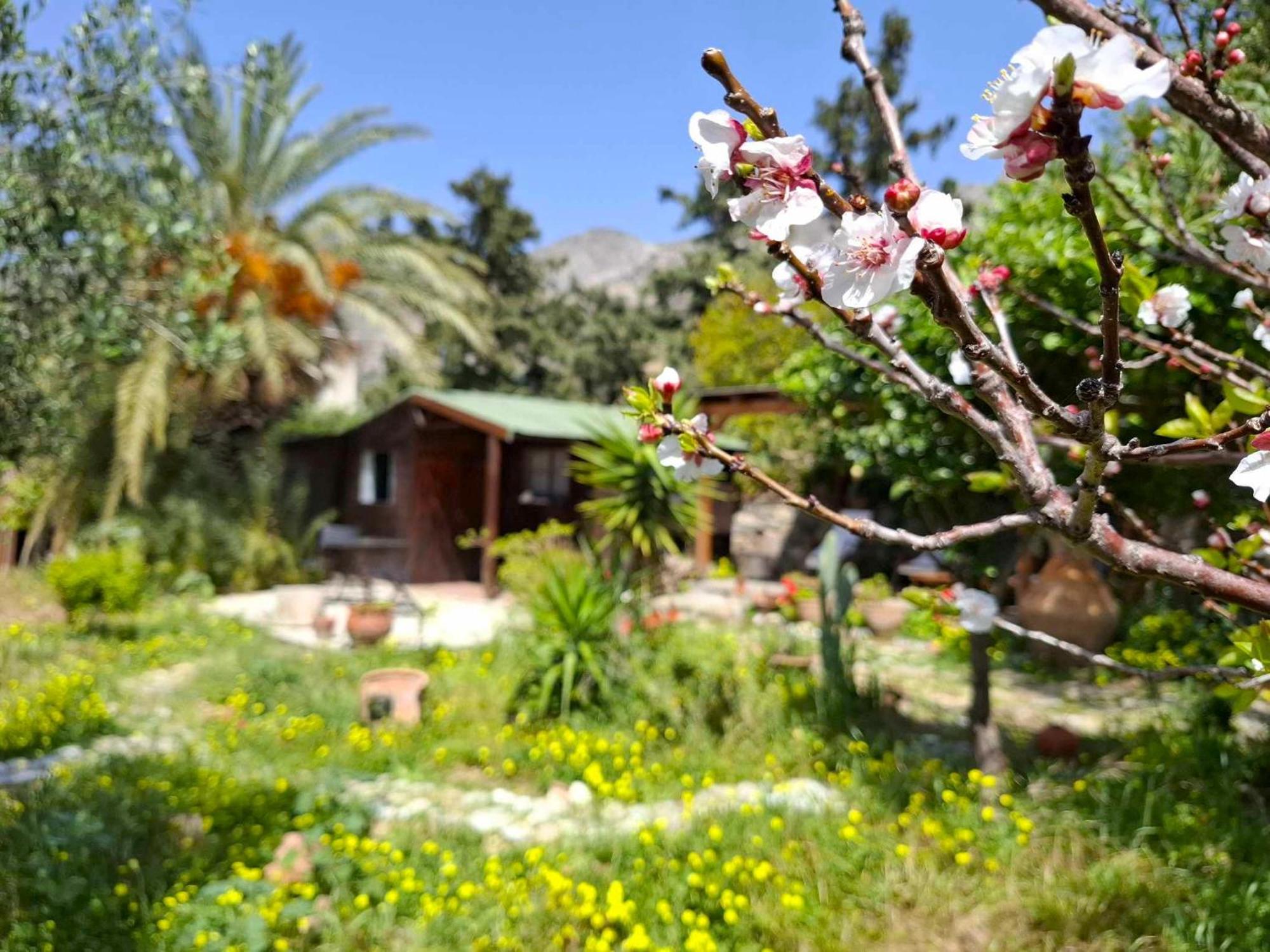 Levantes Garden House - Кератокампос Екстериор снимка